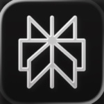 Icône de l'application Perplexity AI
